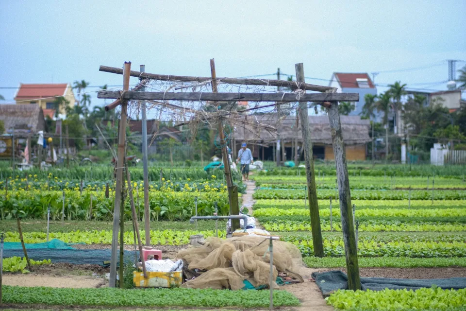 Quầy tiếp khách mua nông sản